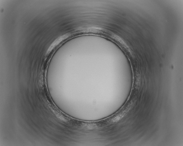 X0000080750978200701021027