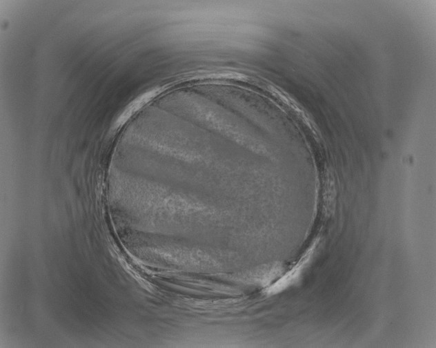 X0000080750985200701021026