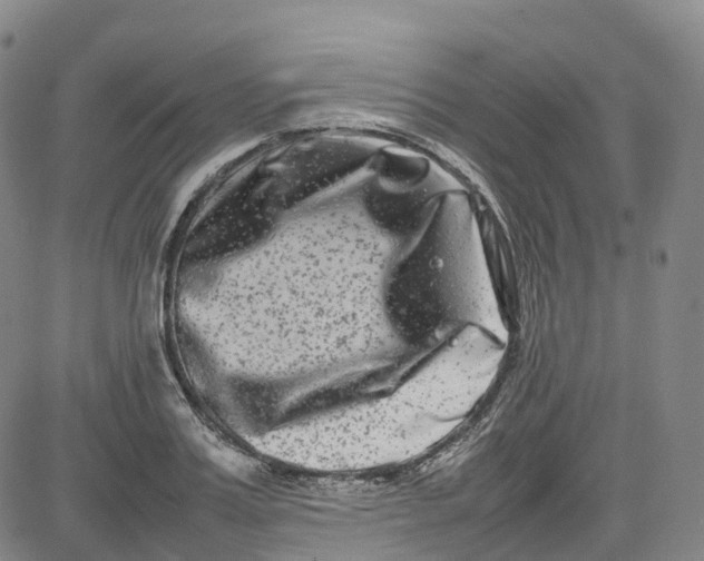 X0000080750987200701021026