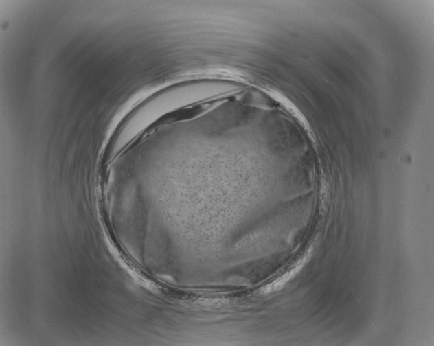 X0000080750989200701021026