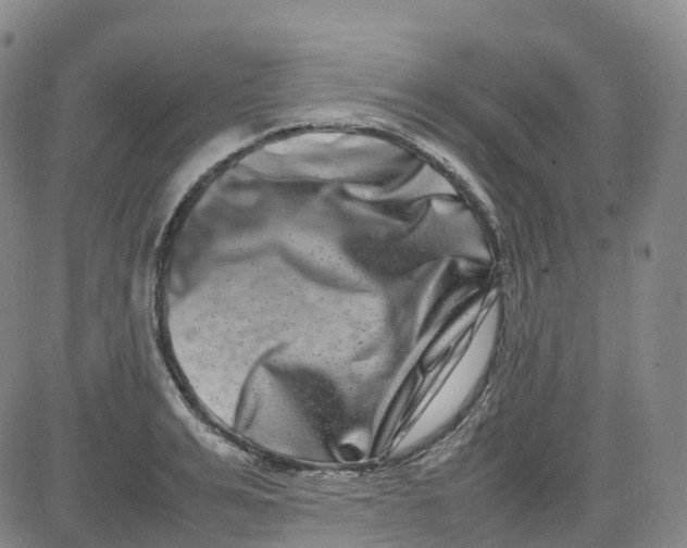 X0000080750991200701021026