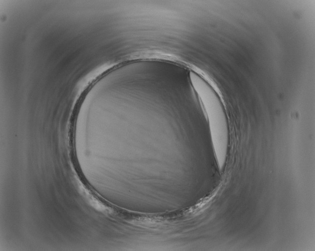 X0000080750995200701021026