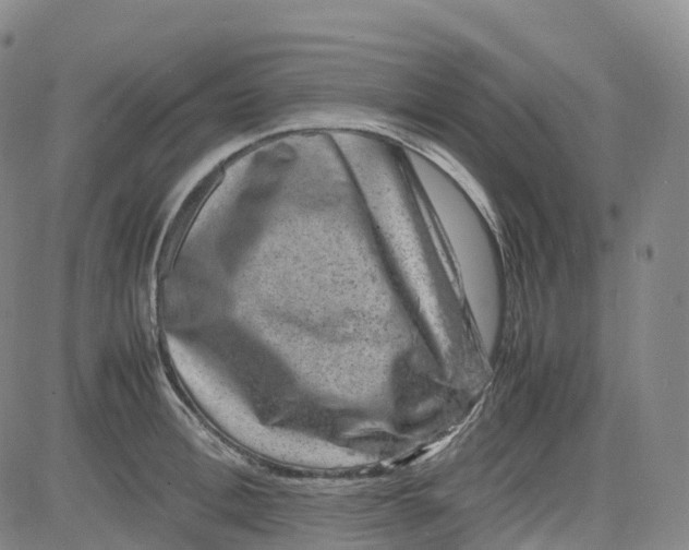 X0000080750996200701021026
