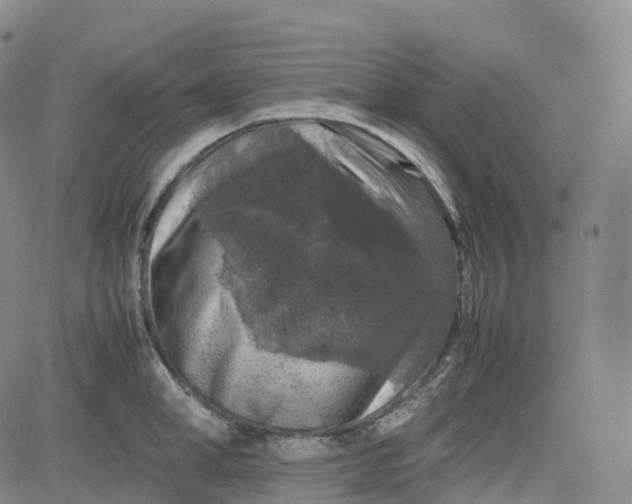 X0000080750998200701021026
