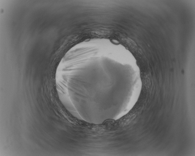 X0000080751009200701021025
