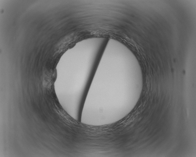 X0000080751012200701021025