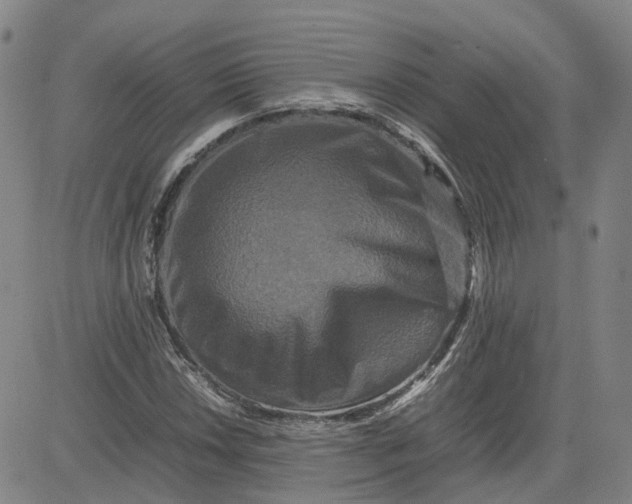 X0000080751018200701021025