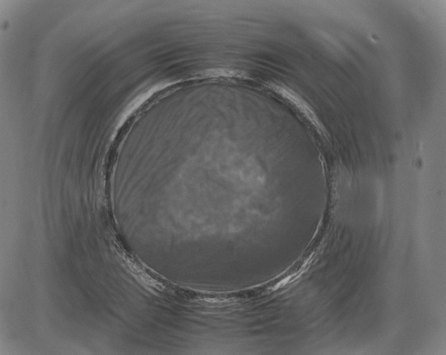 X0000080751023200701021026