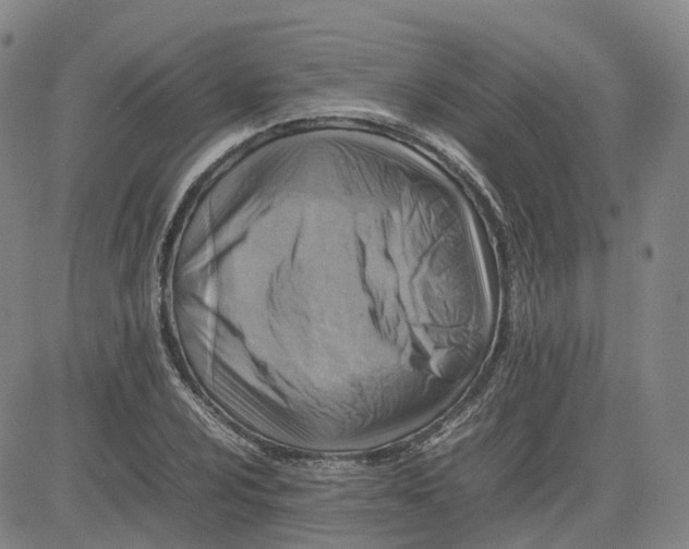 X0000080751024200701021026