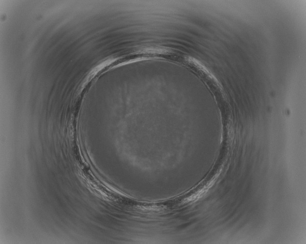 X0000080751025200701021026