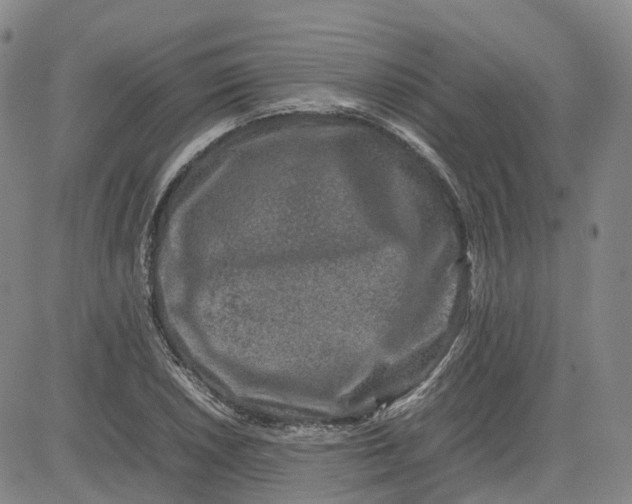 X0000080751026200701021026