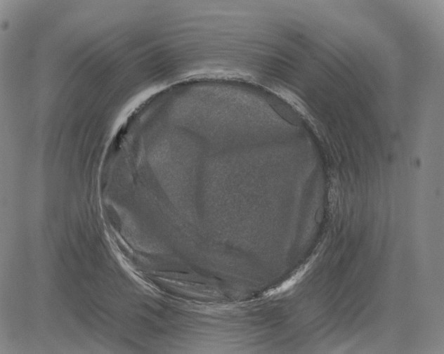 X0000080751030200701021026