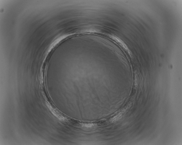 X0000080751031200701021026