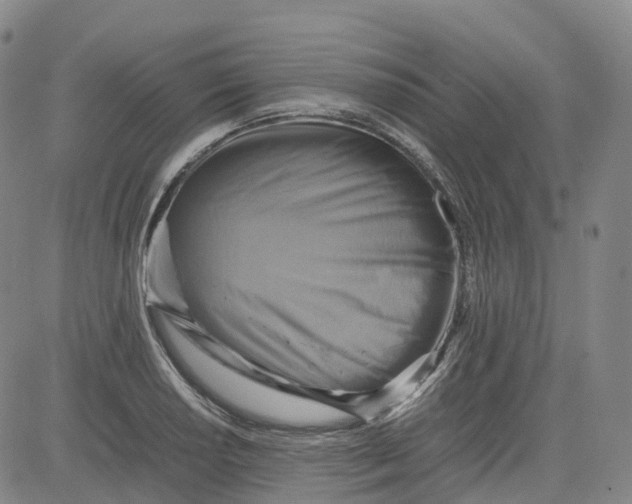 X0000080751034200701021026
