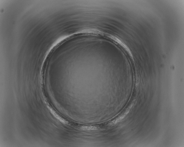 X0000080751037200701021026