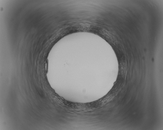 X0000080751057200701021025