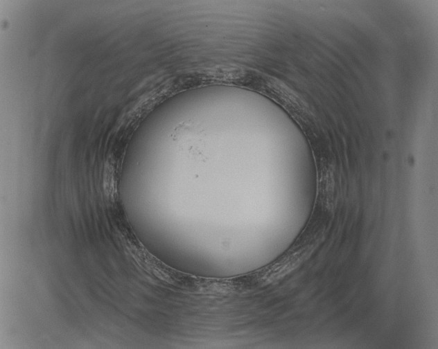 X0000080751058200701021025