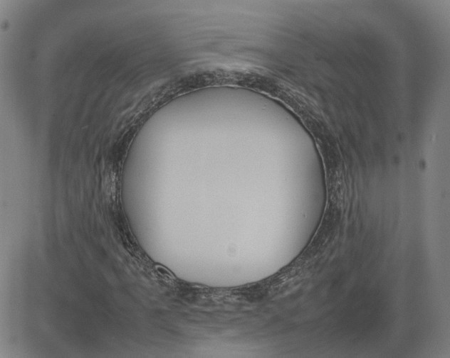 X0000080751061200701021025