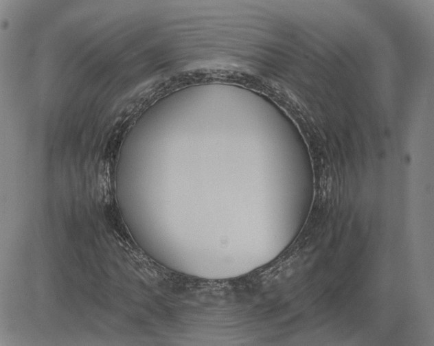 X0000080751062200701021025