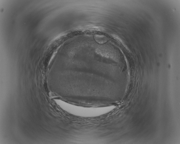 X0000080751063200701021025