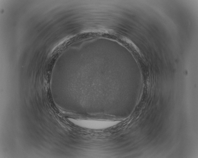 X0000080751064200701021025