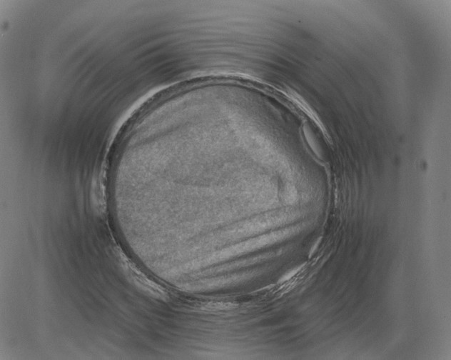 X0000080751068200701021025