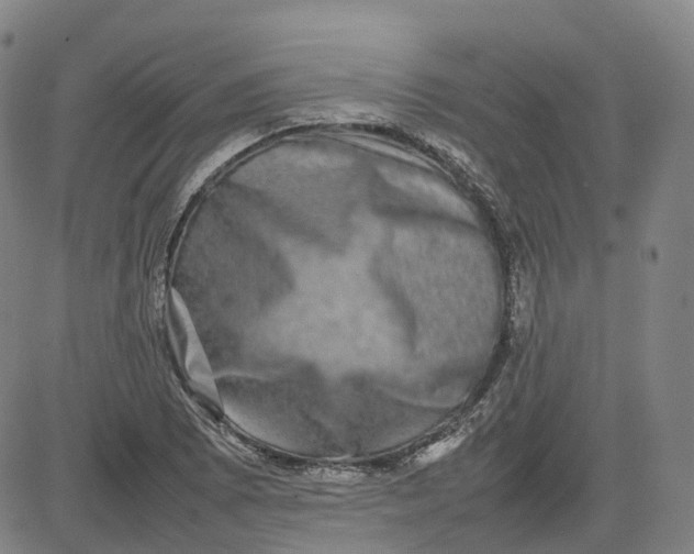 X0000080751073200701021025