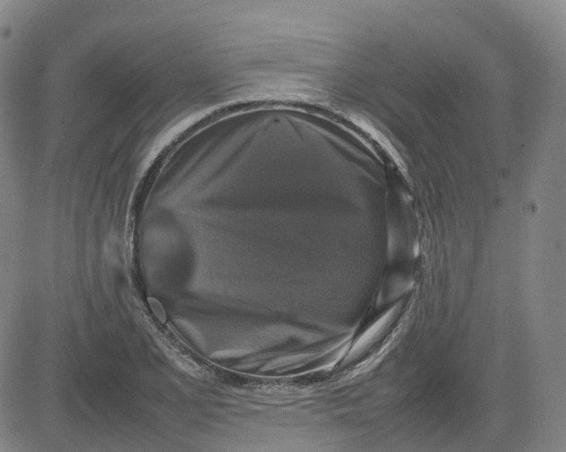 X0000080751077200701021025