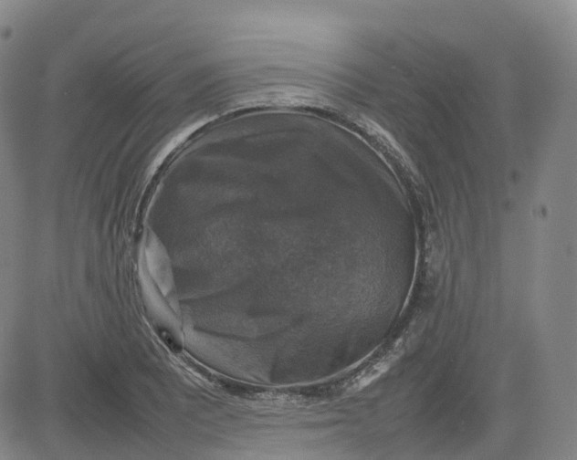 X0000080751081200701021025
