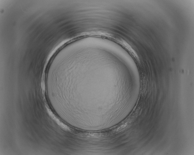 X0000080751084200701021025