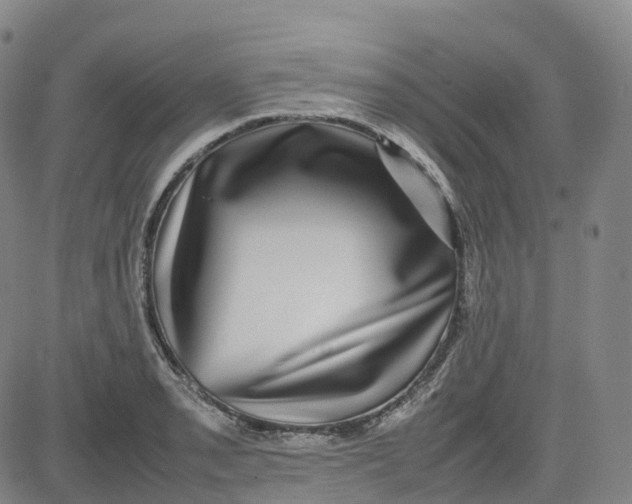 X0000080751085200701021025