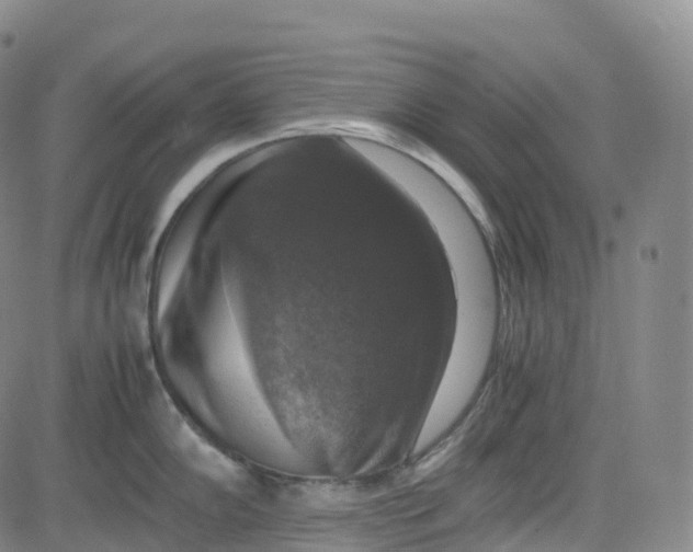 X0000080751102200701021025