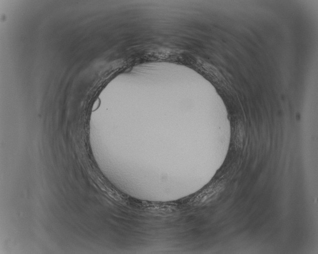 X0000080751105200701021024