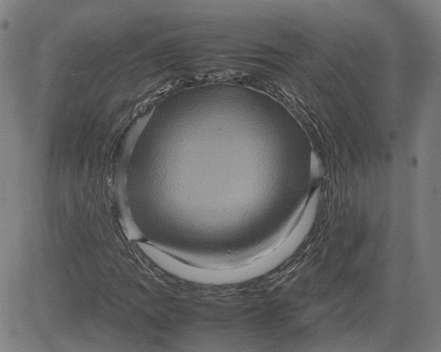 X0000080751109200701021024