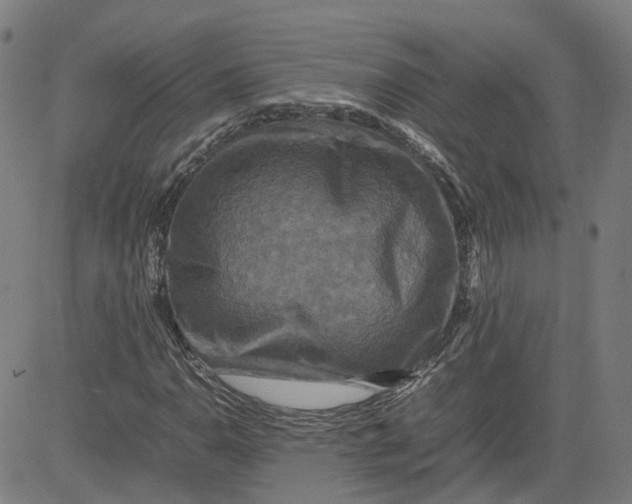 X0000080751110200701021024