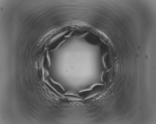 X0000080751112200701021024
