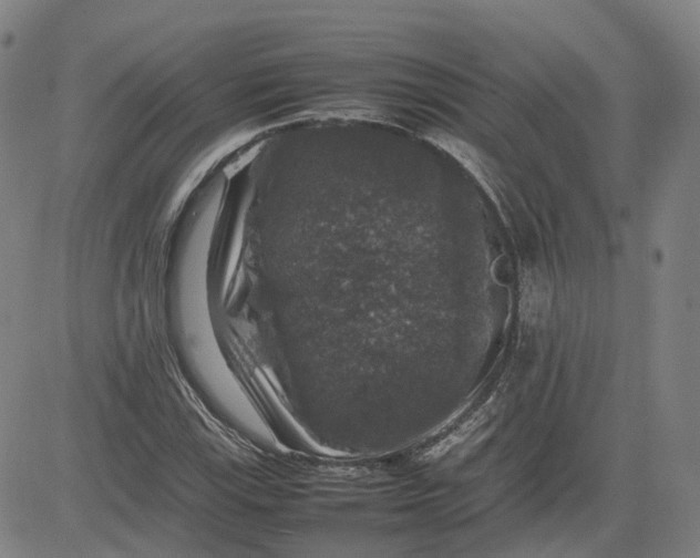X0000080751115200701021024