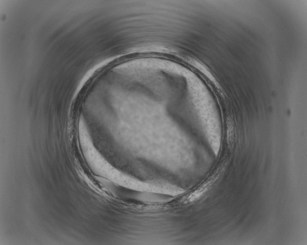X0000080751116200701021024