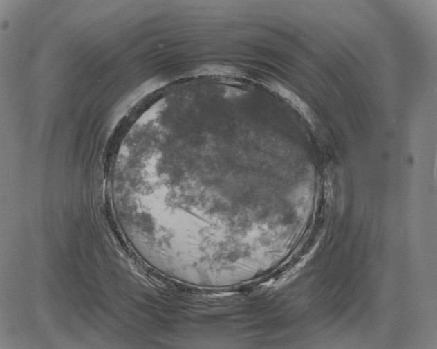 X0000080751117200701021024