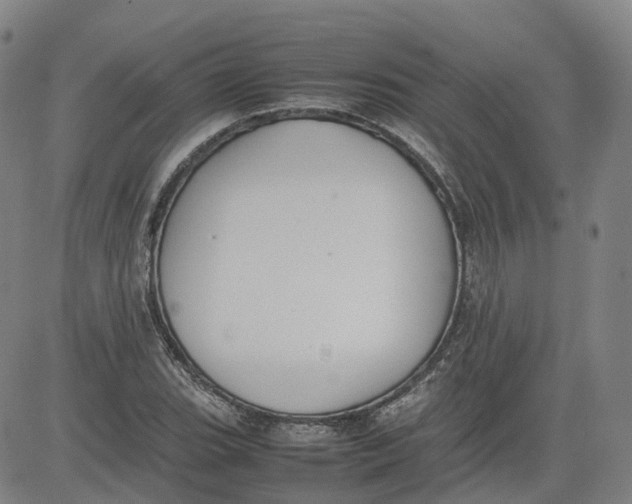 X0000080751119200701021024