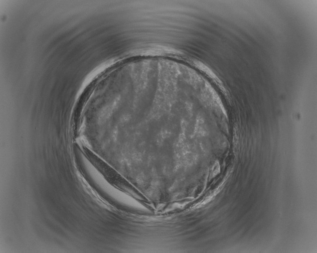 X0000080751122200701021024