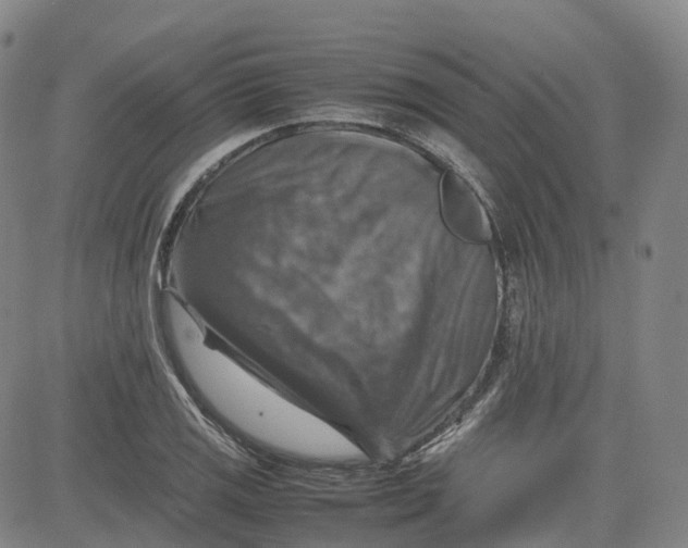 X0000080751125200701021024