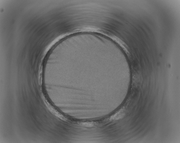 X0000080751126200701021024