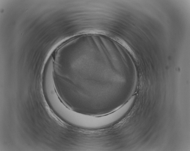 X0000080751132200701021024