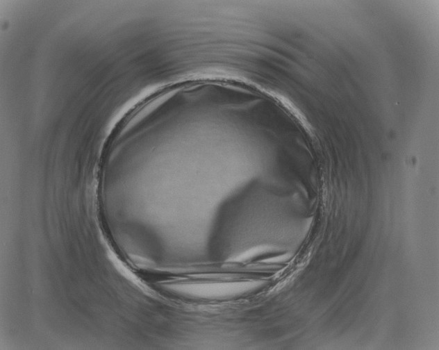 X0000080751134200701021024