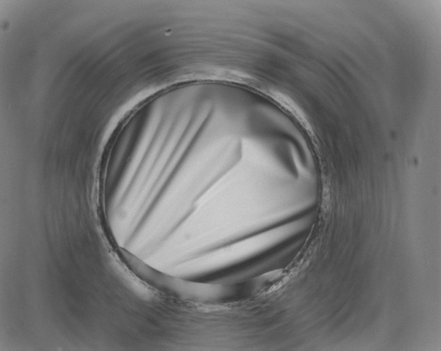X0000080751136200701021024