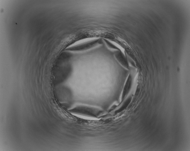 X0000080751153200701021024
