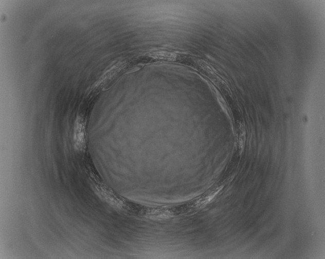X0000080751154200701021024