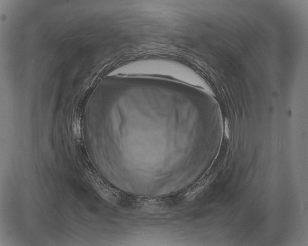 X0000080751155200701021024