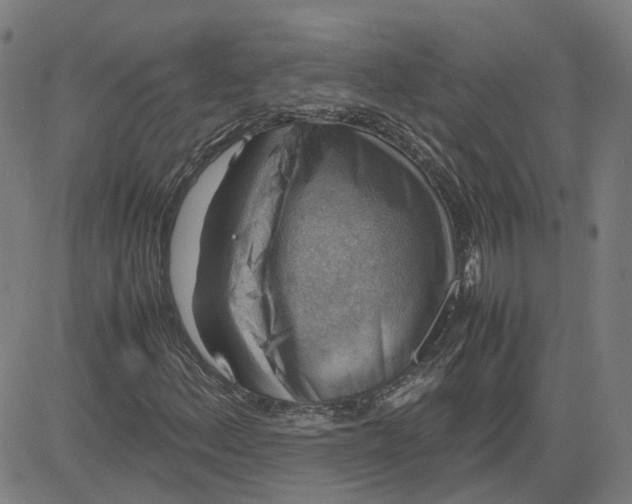 X0000080751156200701021024